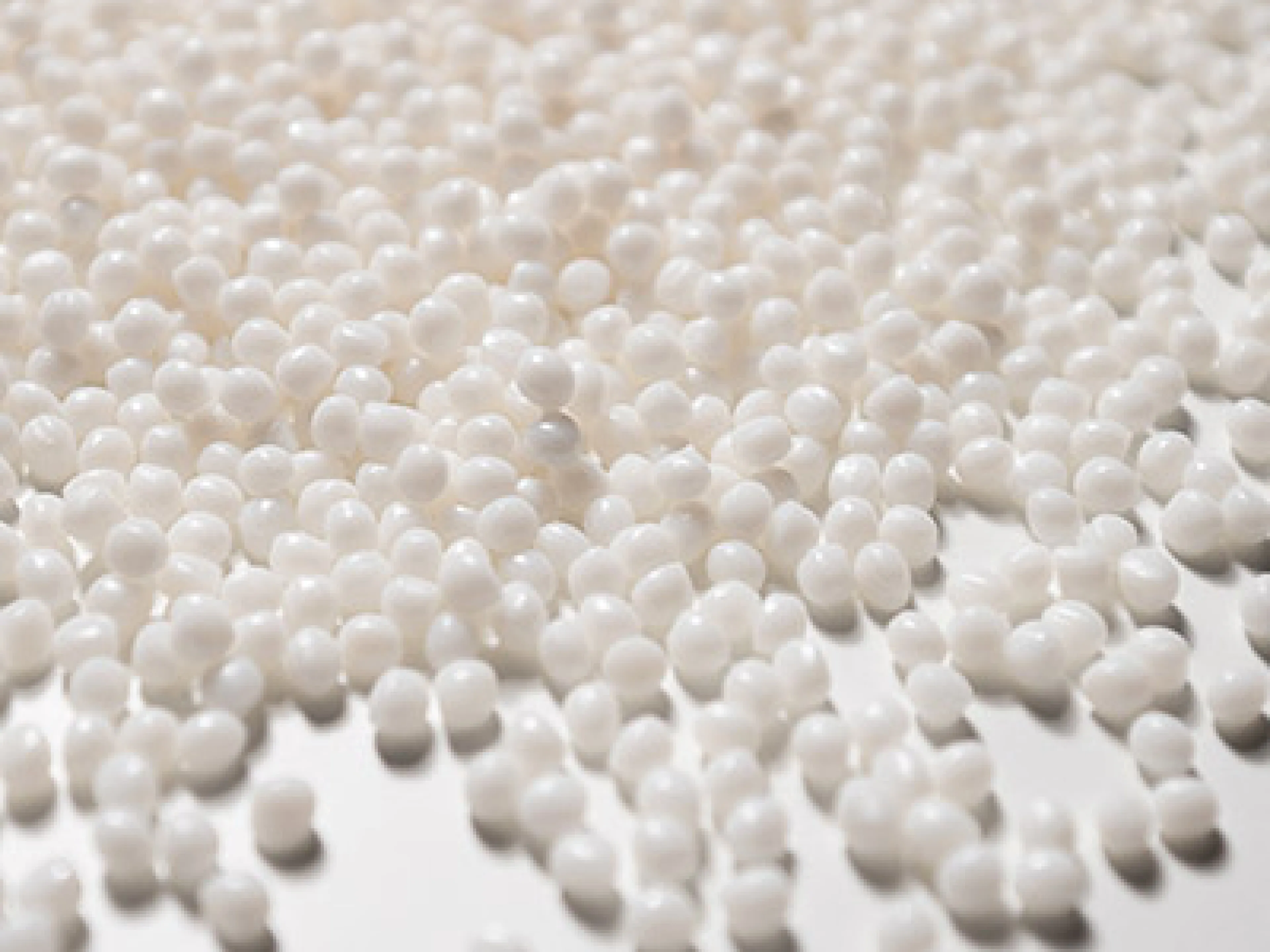 BASF Biopolymer Ecoflex